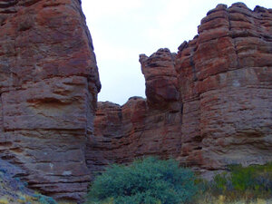 San Lorenzo Canyon, Socorro, NM.